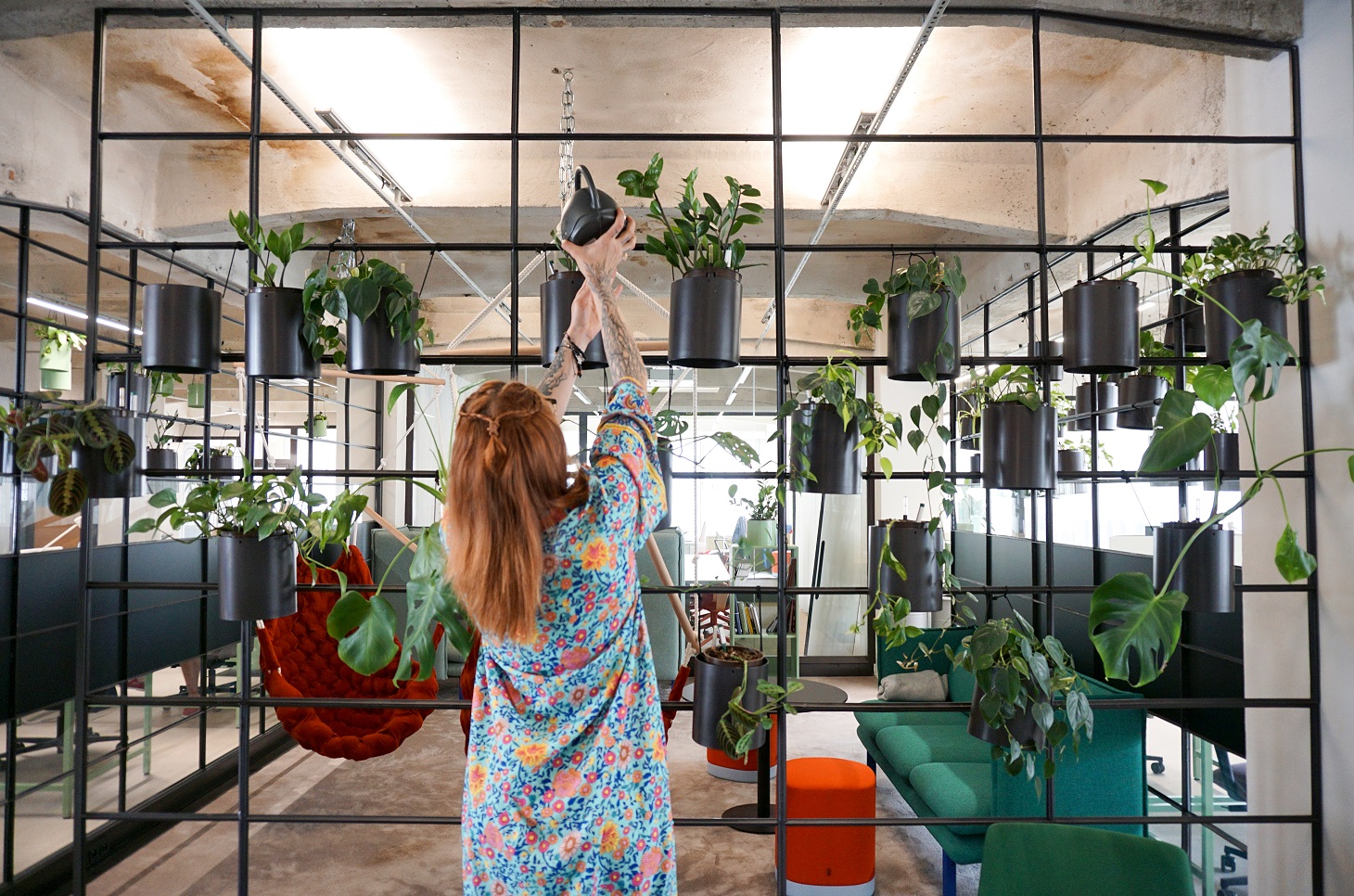 Telegraph_Magda_Cowork