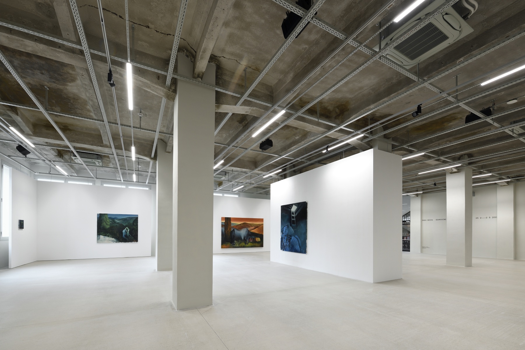 Searching For My Human Traces Radu Baies