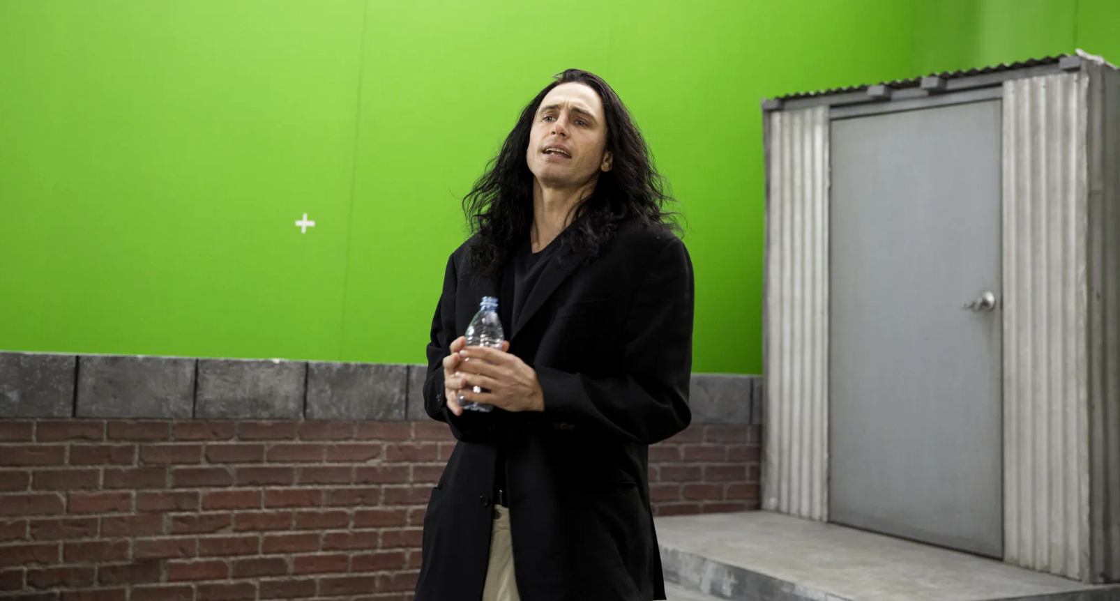 DISASTER ARTIST