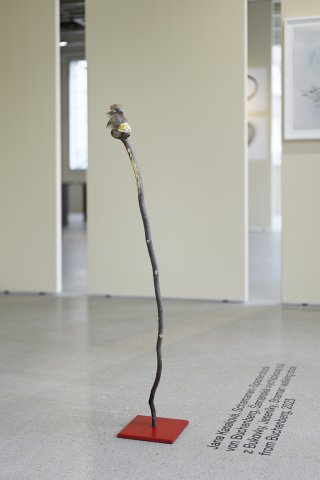 Foto: Ondřej Polák