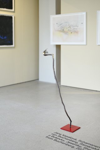 Foto: Ondřej Polák